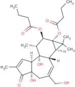4-α-Phorbol 12,13-dibutyrate