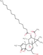 Phorbol 12-Myristate 13-Acetate