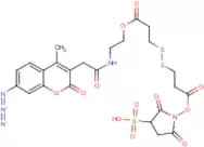 Sulphosuccinimidyl 2-(7-azido-4-methylcoumarin-3-acetamide)ethyl-1,3-dithiopropionate