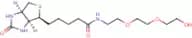 Biotin-PEG3-alcohol