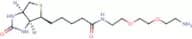 Biotin-PEG2-Amine