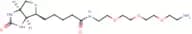 Biotin-PEG3-Amine