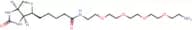 Biotin-PEG4-Amine