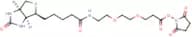 Biotin-PEG2-NHS ester