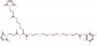 Bis-Mal-Lysine-PEG4-TFP ester