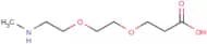 Methylamino-PEG2-acid