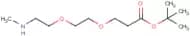 Methylamino-PEG2-t-butyl ester