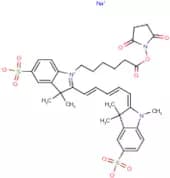 Sulfo-Cyanine5 NHS ester