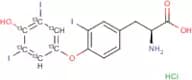 Reverse Triiodothyronine-[diiodophenyl-ring-13C6] hydrochloride (Reverse T3)