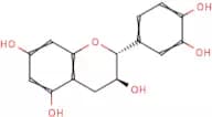 (+)-Catechin