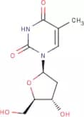Thymidine