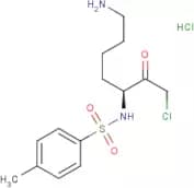 N-α-Tosyl-L-lysine chloromethyl ketone hydrochloride
