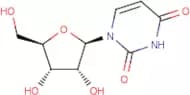 Uridine