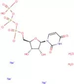Uridine-5'-triphosphate trisodium salt dihydrate