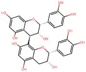 Procyanidin B2