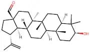 Betulinaldehyde