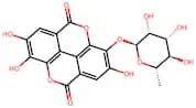 Ellagic acid 3-O-α-L-rhamnopyranoside