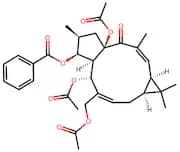 Euphorbia factor L7b