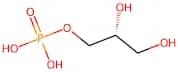 sn-Glycerol 3-phosphate