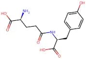 γ-Glu-Tyr