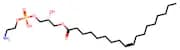 PE(18:1(9Z)/0:0)