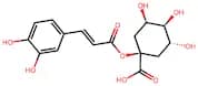 1-Caffeoylquinic acid