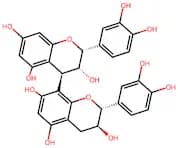 Procyanidin B1