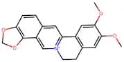 Epiberberine