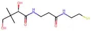 (R)-Pantetheine