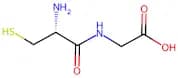Cysteinylglycine