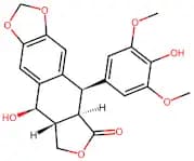 4'-Demethylpodophyllotoxin