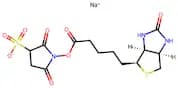 Sulfo-NHS-Biotin