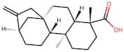 Kaurenoic acid