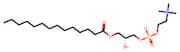 LysoPC(14:0/0:0)