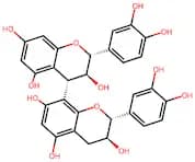 Procyanidin B3