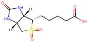 Biotin sulfone