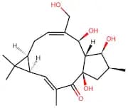 17-Hydroxyisolathyrol