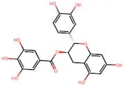 (-)-Catechin gallate