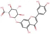 Luteolin 7-O-glucuronide