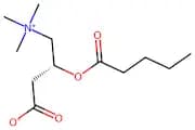 Valerylcarnitine