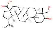 23-Hydroxybetulinic acid