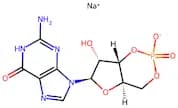 GUANOSINE 3':5'-CYCLIC MONOPHOSPHATE SOD