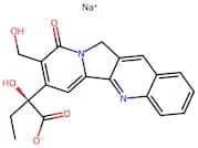 Sodium Camptothecin
