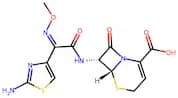 Ceftizoxime