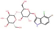 5-Bromo-4-chloro-3-indoxyl-β-D-cellobioside