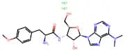 Puromycin dihydrochloride