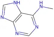 N6-Methyladenine