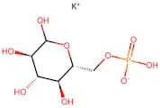 D-Glucose 6-phosphate potassium salt