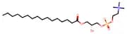 1-Palmitoyl-sn-glycero-3-phosphocholine