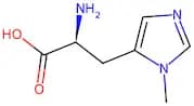 3-Methyl-L-histidine